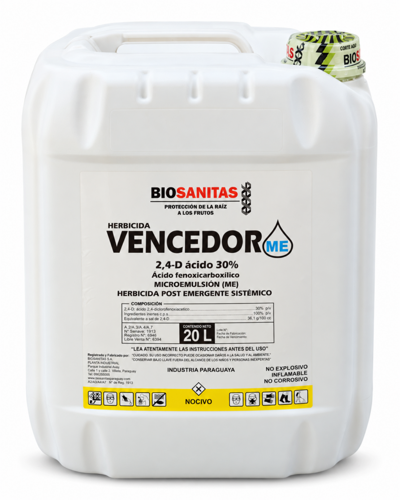 VENCEDOR